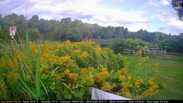view from Deck-Dock Cam on 2026-08-26