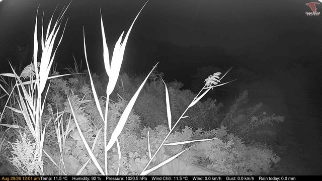 time-lapse frame, Deck-Dock Cam webcam