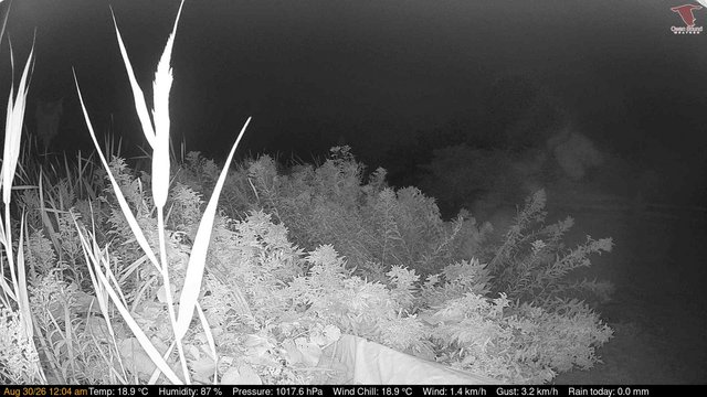 time-lapse frame, Deck-Dock Cam webcam
