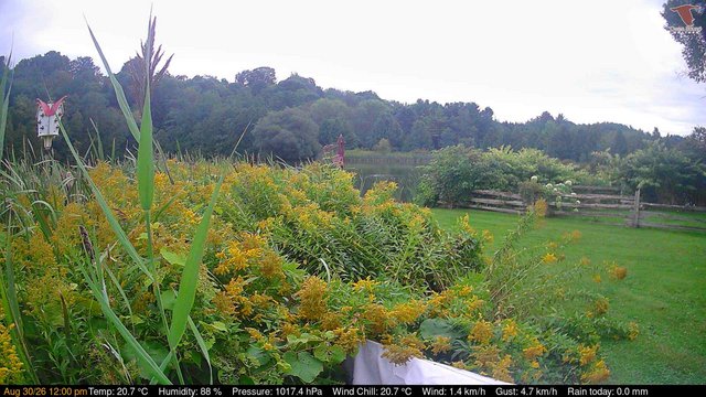 view from Deck-Dock Cam on 2026-08-30