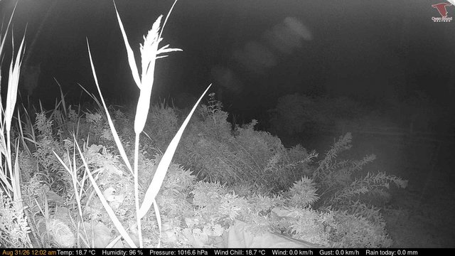 time-lapse frame, Deck-Dock Cam webcam