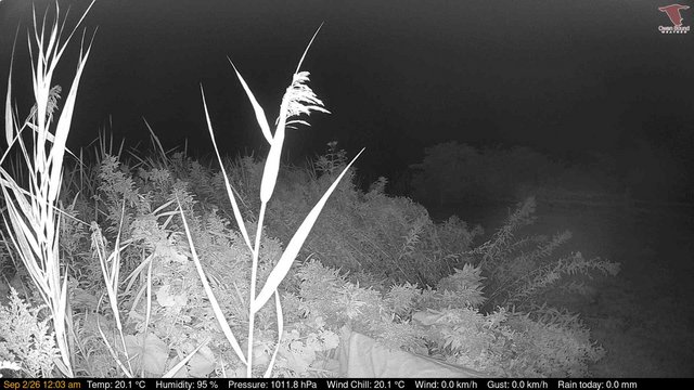 time-lapse frame, Deck-Dock Cam webcam