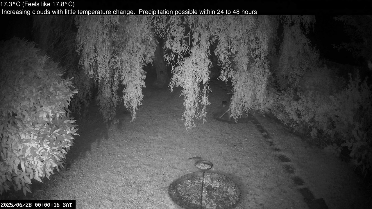 time-lapse frame, Wembury, Devon. Garden Cam webcam