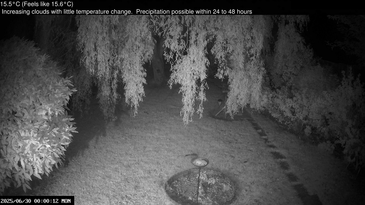 time-lapse frame, Wembury, Devon. Garden Cam webcam