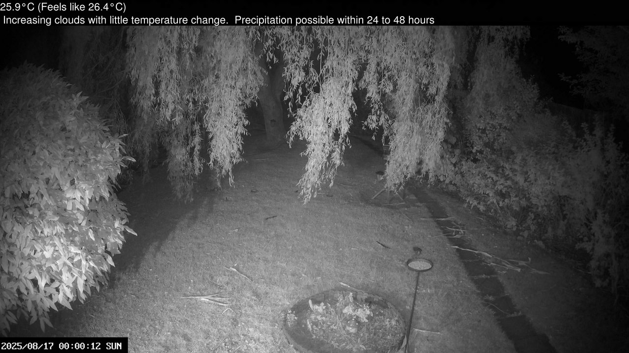 time-lapse frame, Wembury, Devon. Garden Cam webcam