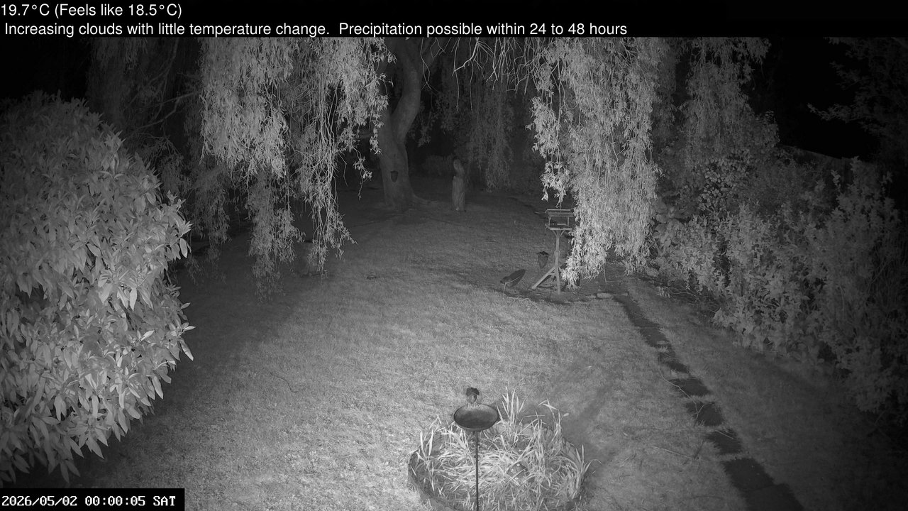 time-lapse frame, Wembury, Devon. Garden Cam webcam