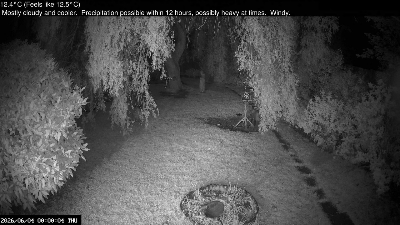 time-lapse frame, Wembury, Devon. Garden Cam webcam