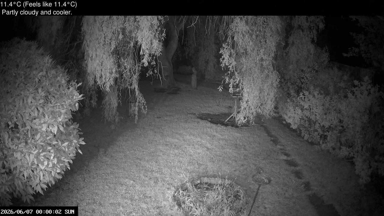time-lapse frame, Wembury, Devon. Garden Cam webcam