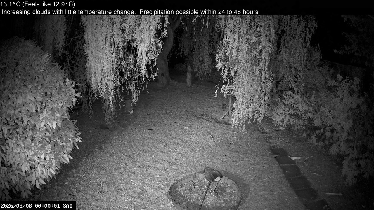 time-lapse frame, Wembury, Devon. Garden Cam webcam