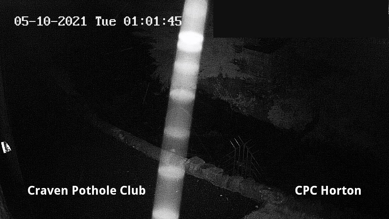 time-lapse frame, HortonBrantsGillCam webcam