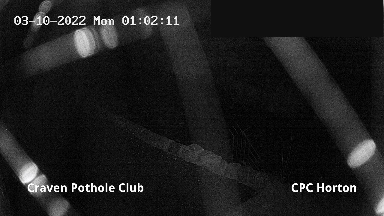 time-lapse frame, HortonBrantsGillCam webcam