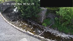 view from HortonBrantsGillCam on 2025-05-12