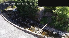 view from HortonBrantsGillCam on 2025-05-13