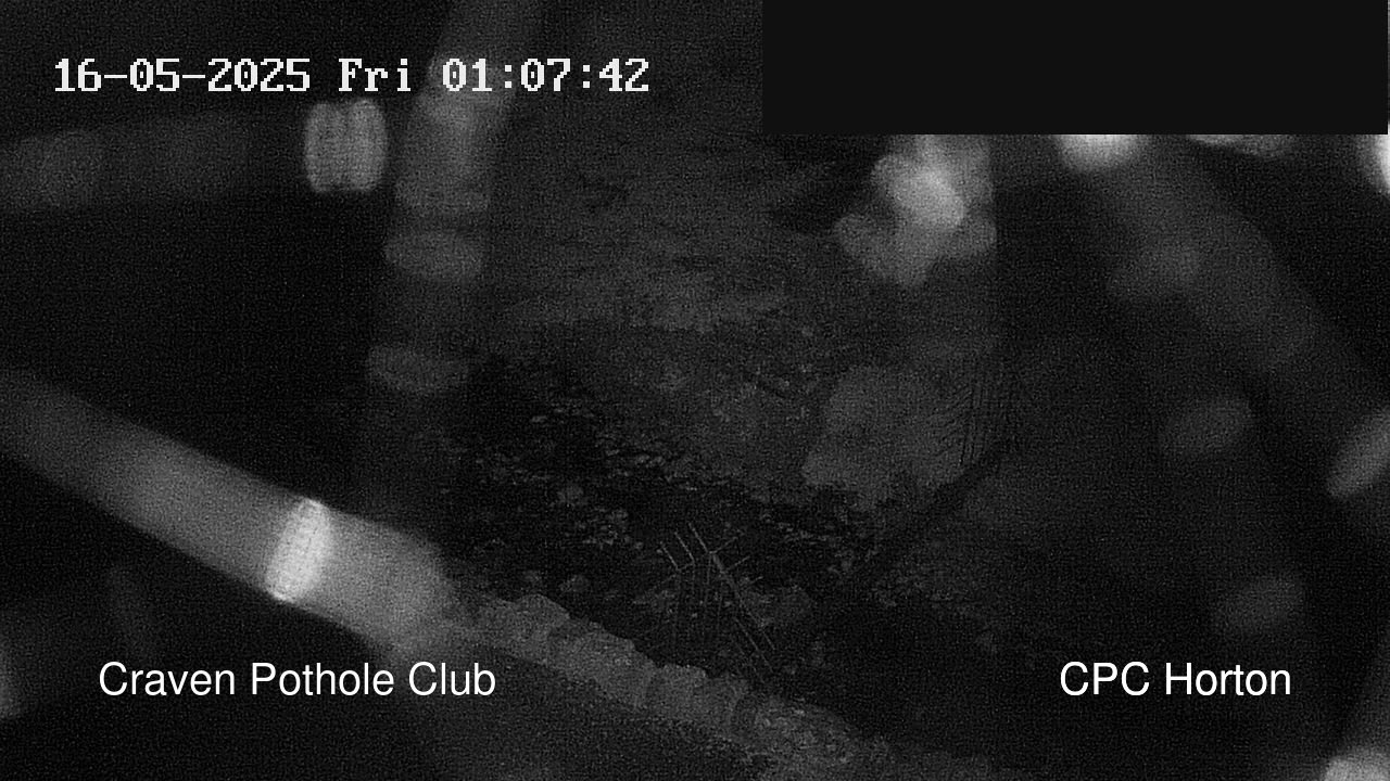 time-lapse frame, HortonBrantsGillCam webcam
