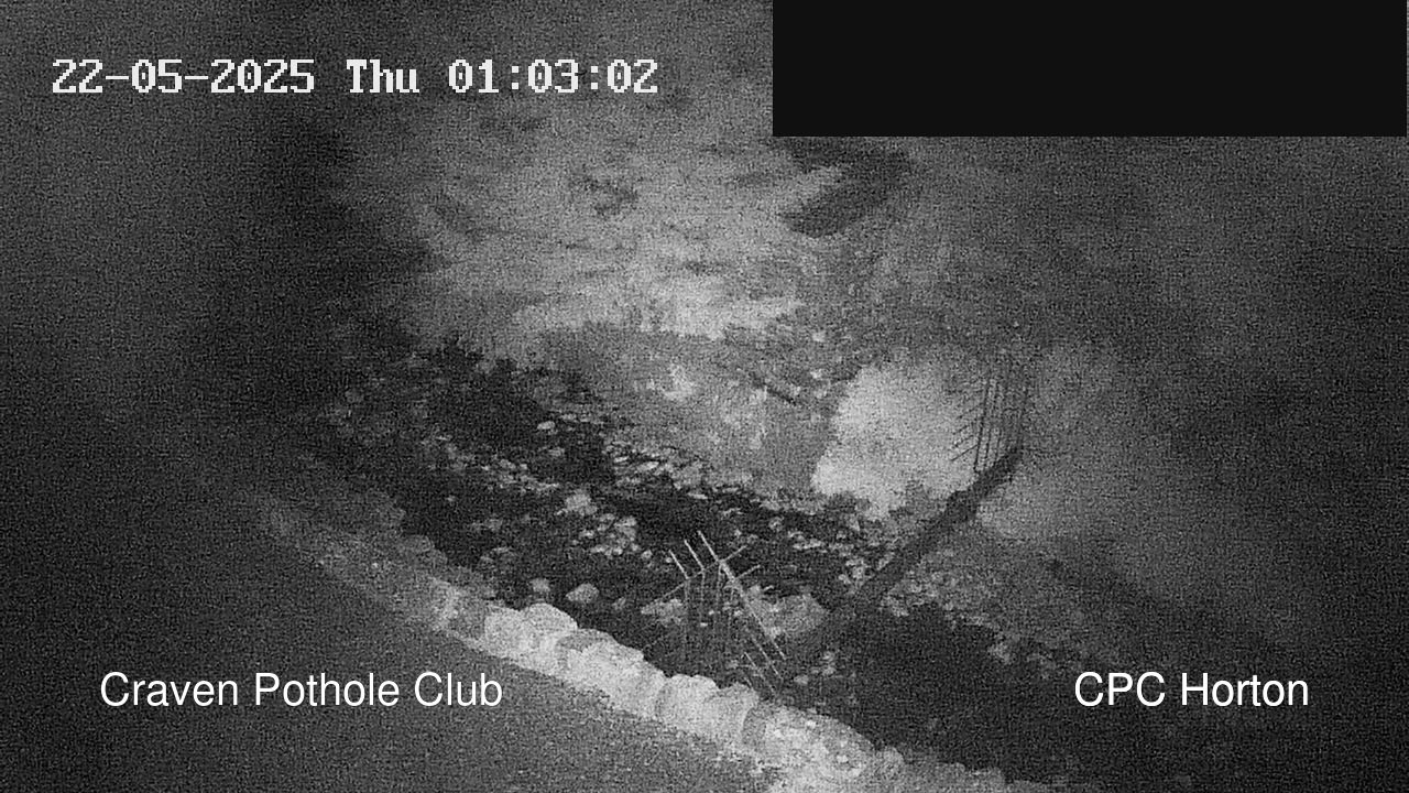 time-lapse frame, HortonBrantsGillCam webcam