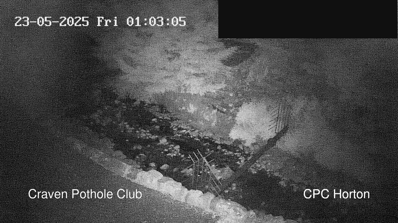 time-lapse frame, HortonBrantsGillCam webcam