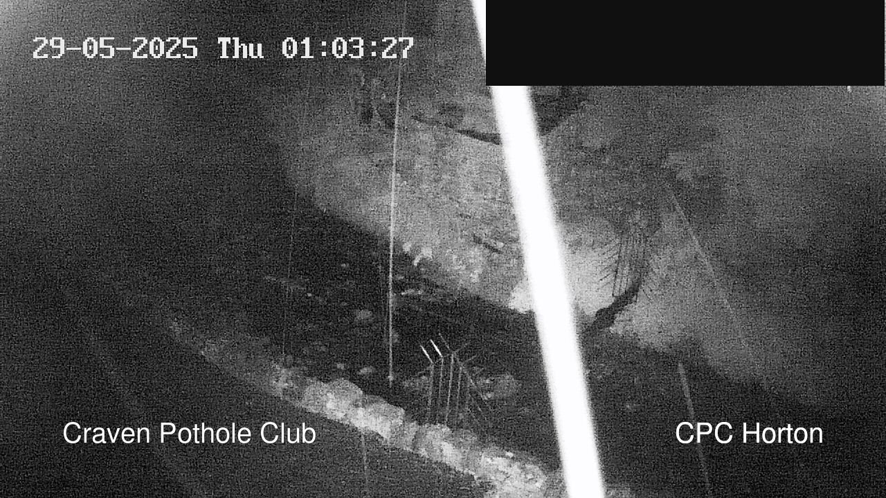 time-lapse frame, HortonBrantsGillCam webcam