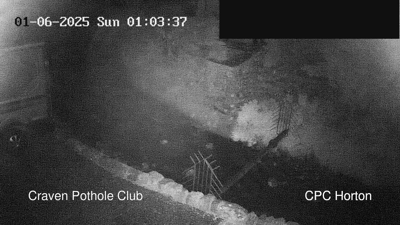 time-lapse frame, HortonBrantsGillCam webcam