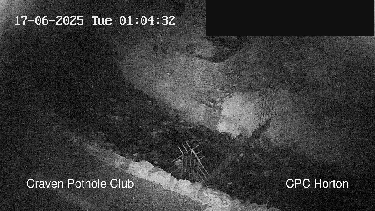 time-lapse frame, HortonBrantsGillCam webcam