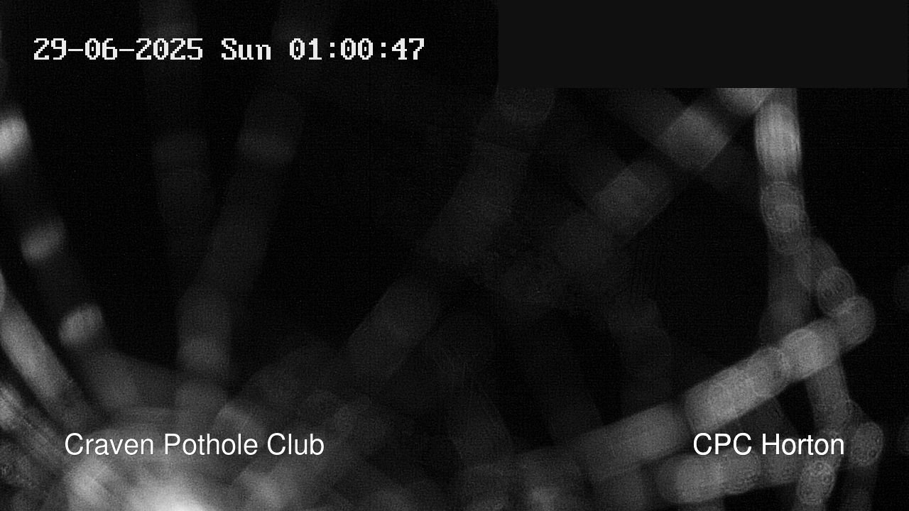 time-lapse frame, HortonBrantsGillCam webcam