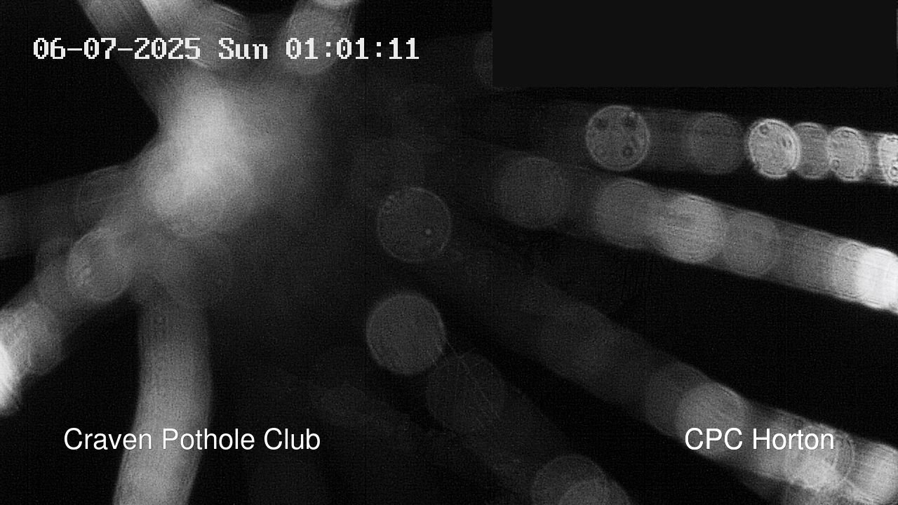 time-lapse frame, HortonBrantsGillCam webcam