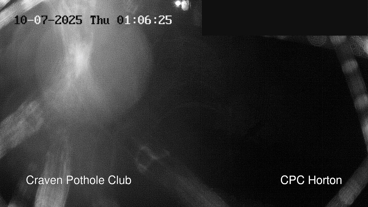 time-lapse frame, HortonBrantsGillCam webcam