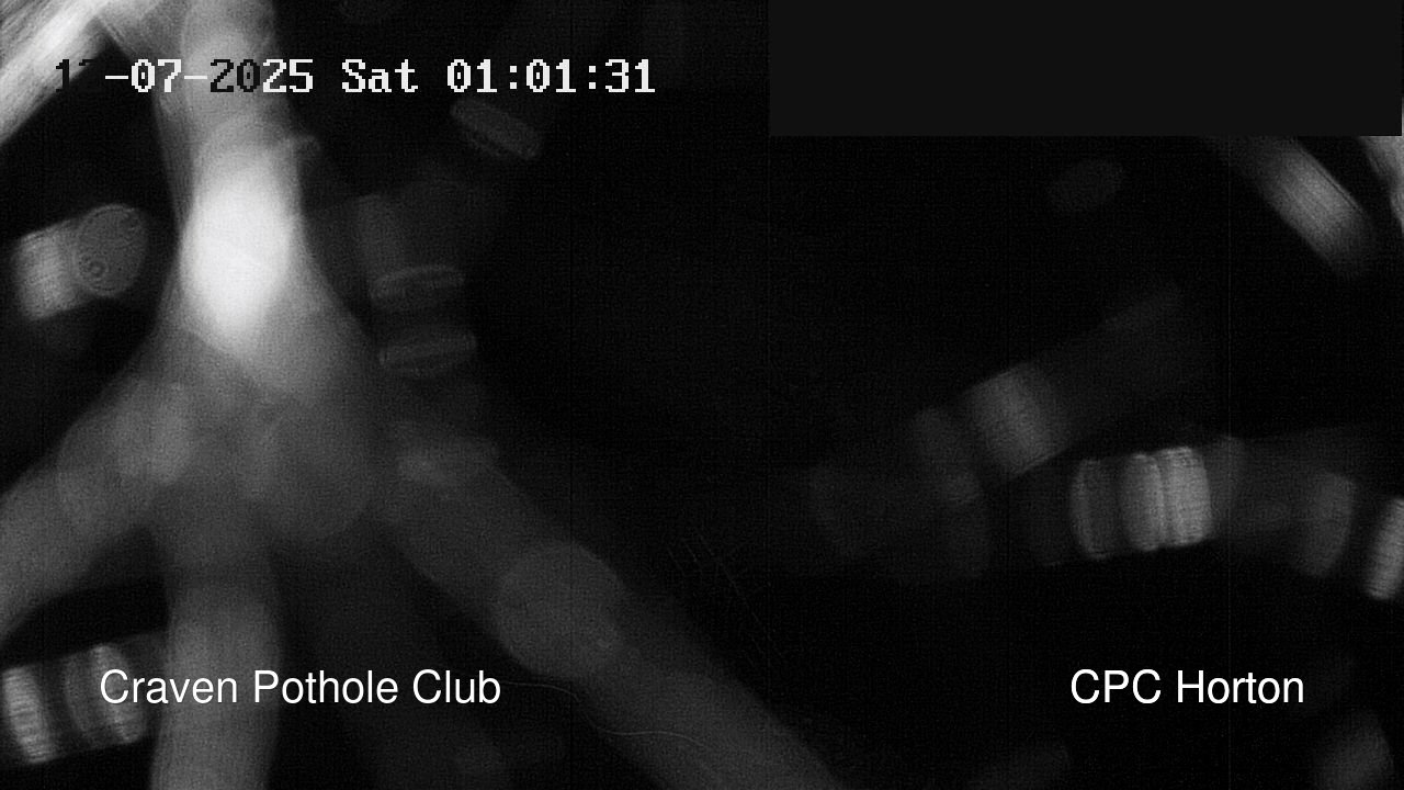 time-lapse frame, HortonBrantsGillCam webcam