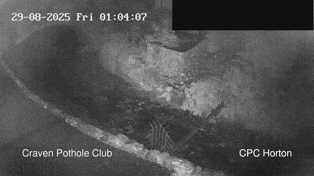 time-lapse frame, HortonBrantsGillCam webcam
