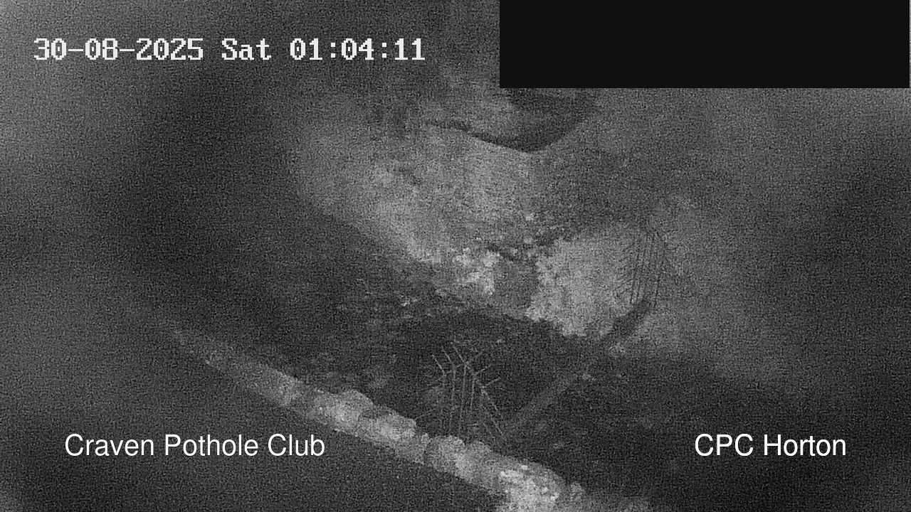 time-lapse frame, HortonBrantsGillCam webcam