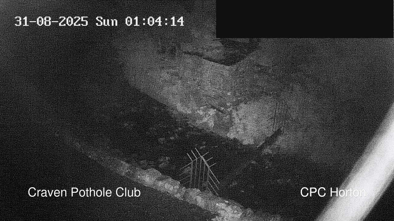 time-lapse frame, HortonBrantsGillCam webcam