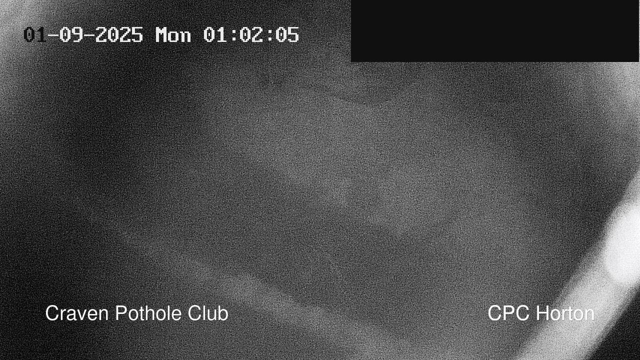 time-lapse frame, HortonBrantsGillCam webcam