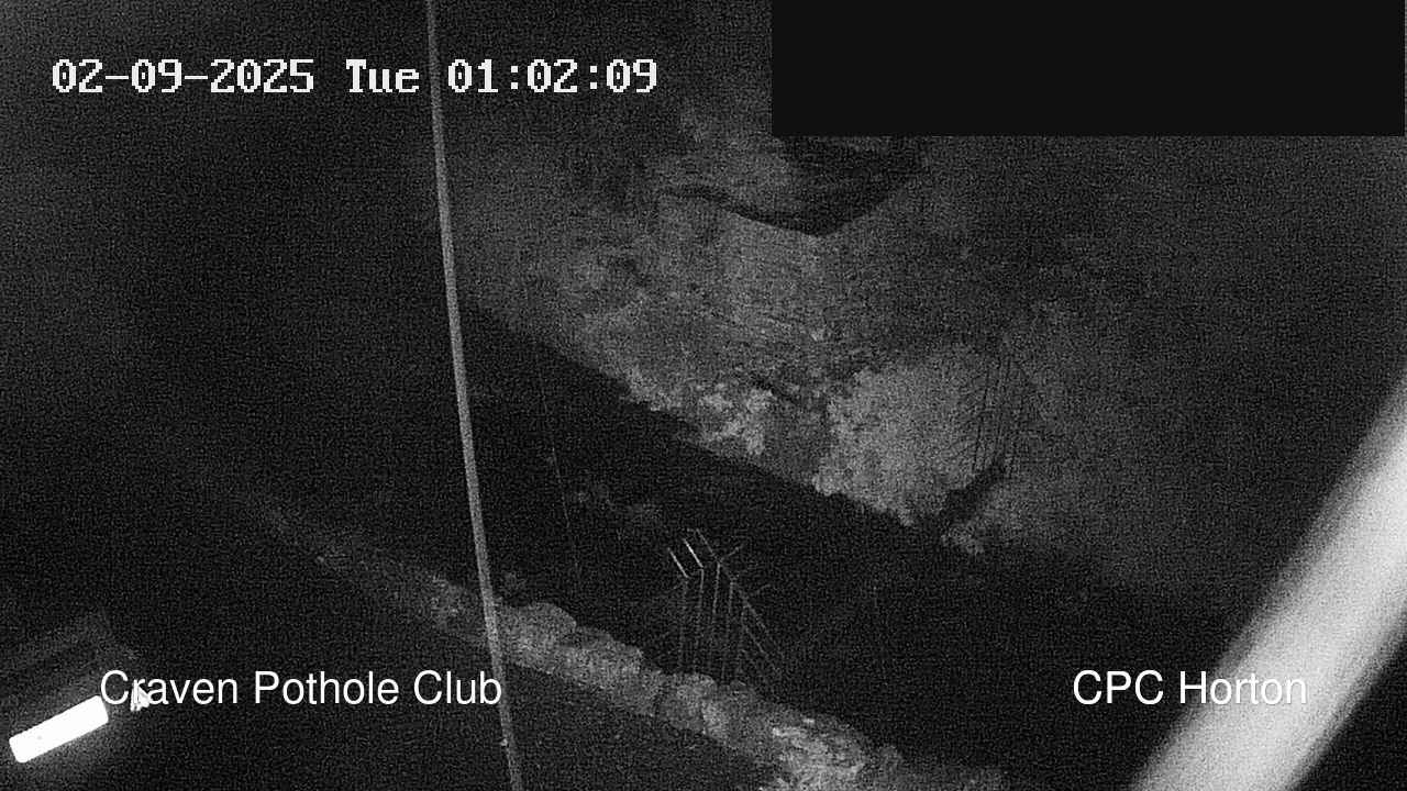 time-lapse frame, HortonBrantsGillCam webcam