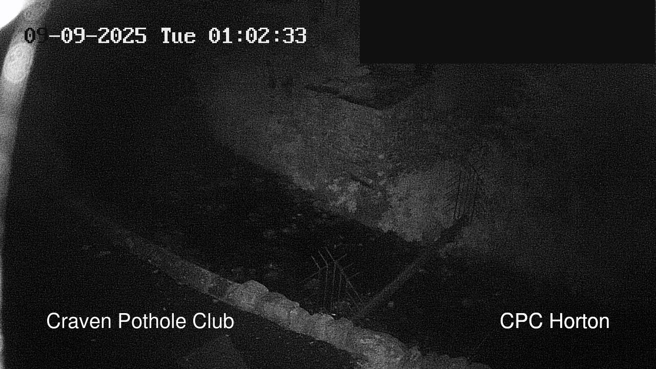 time-lapse frame, HortonBrantsGillCam webcam
