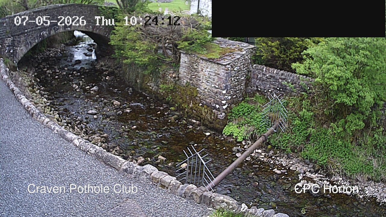 HortonBrantsGillCam animated GIF
