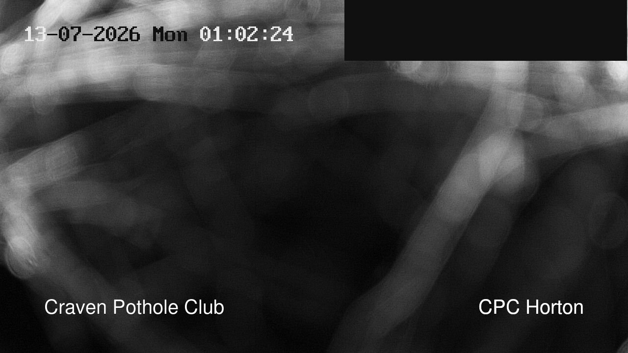 time-lapse frame, HortonBrantsGillCam webcam