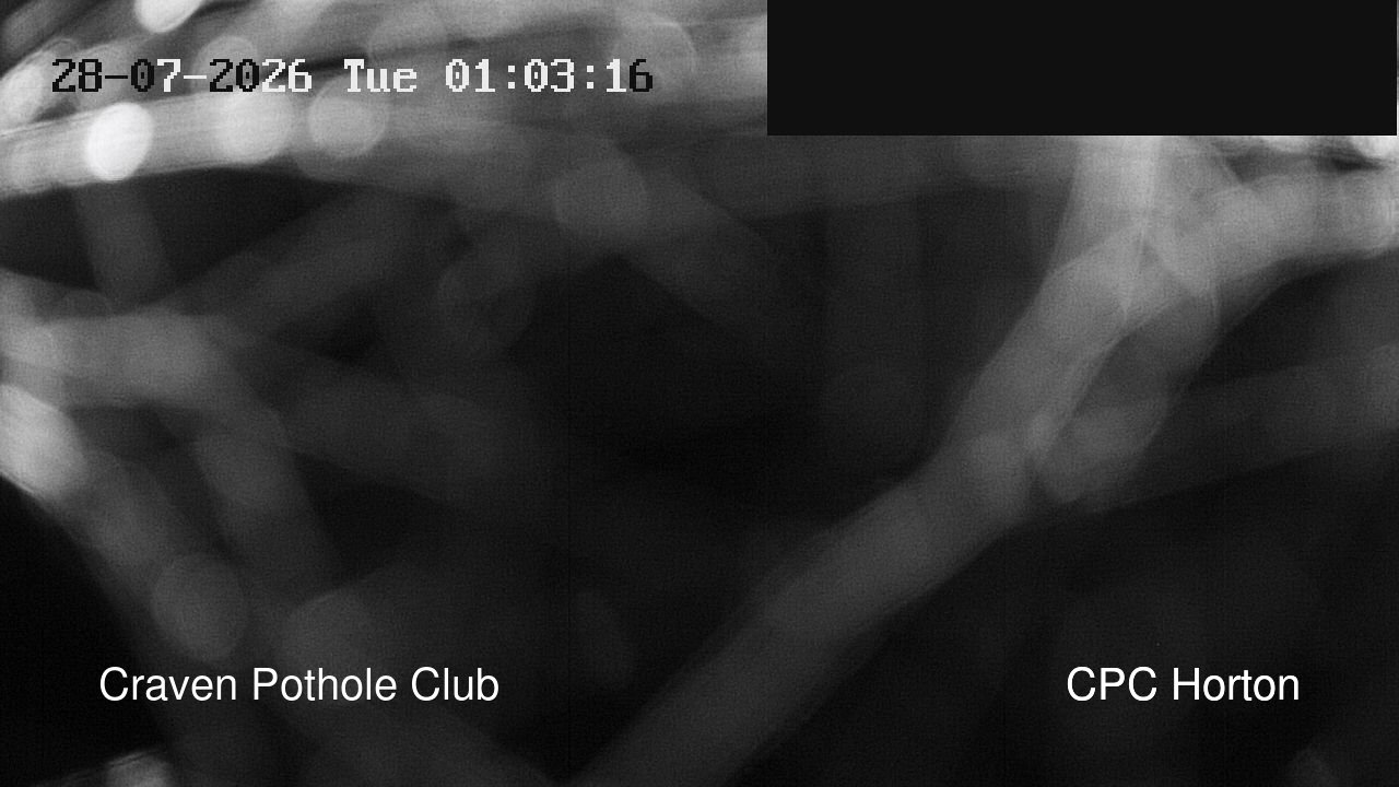 time-lapse frame, HortonBrantsGillCam webcam