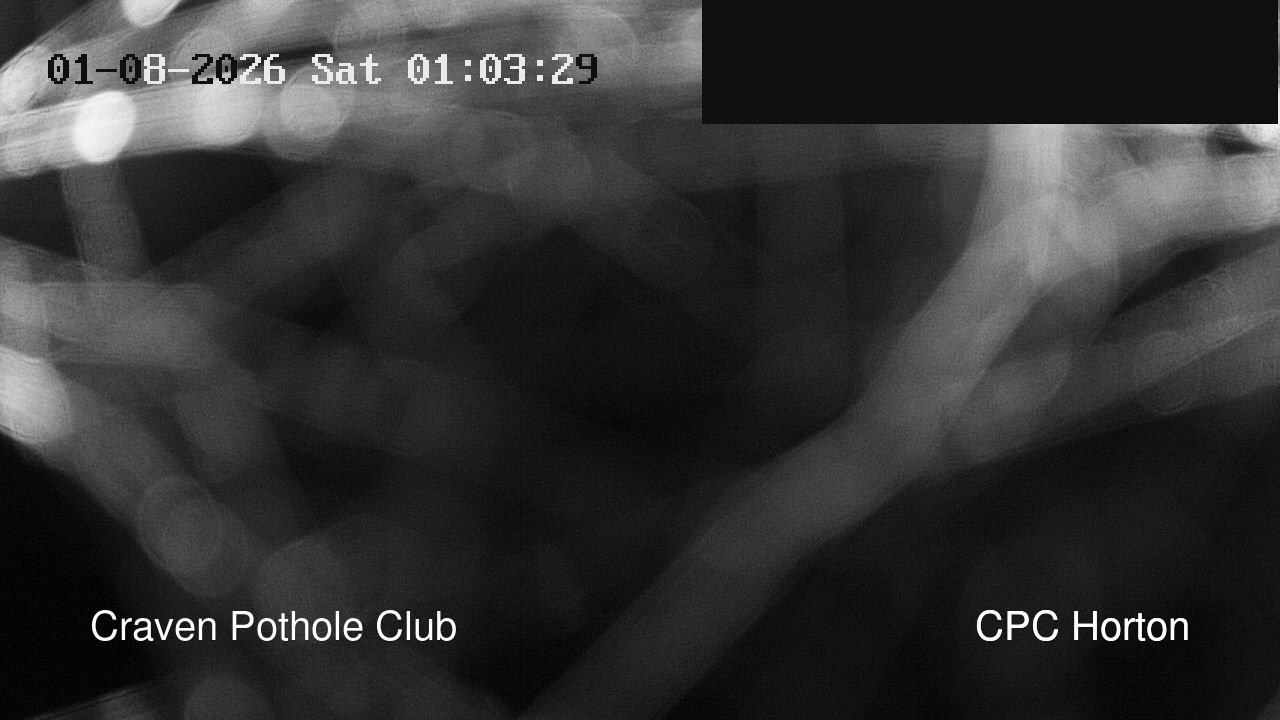 time-lapse frame, HortonBrantsGillCam webcam