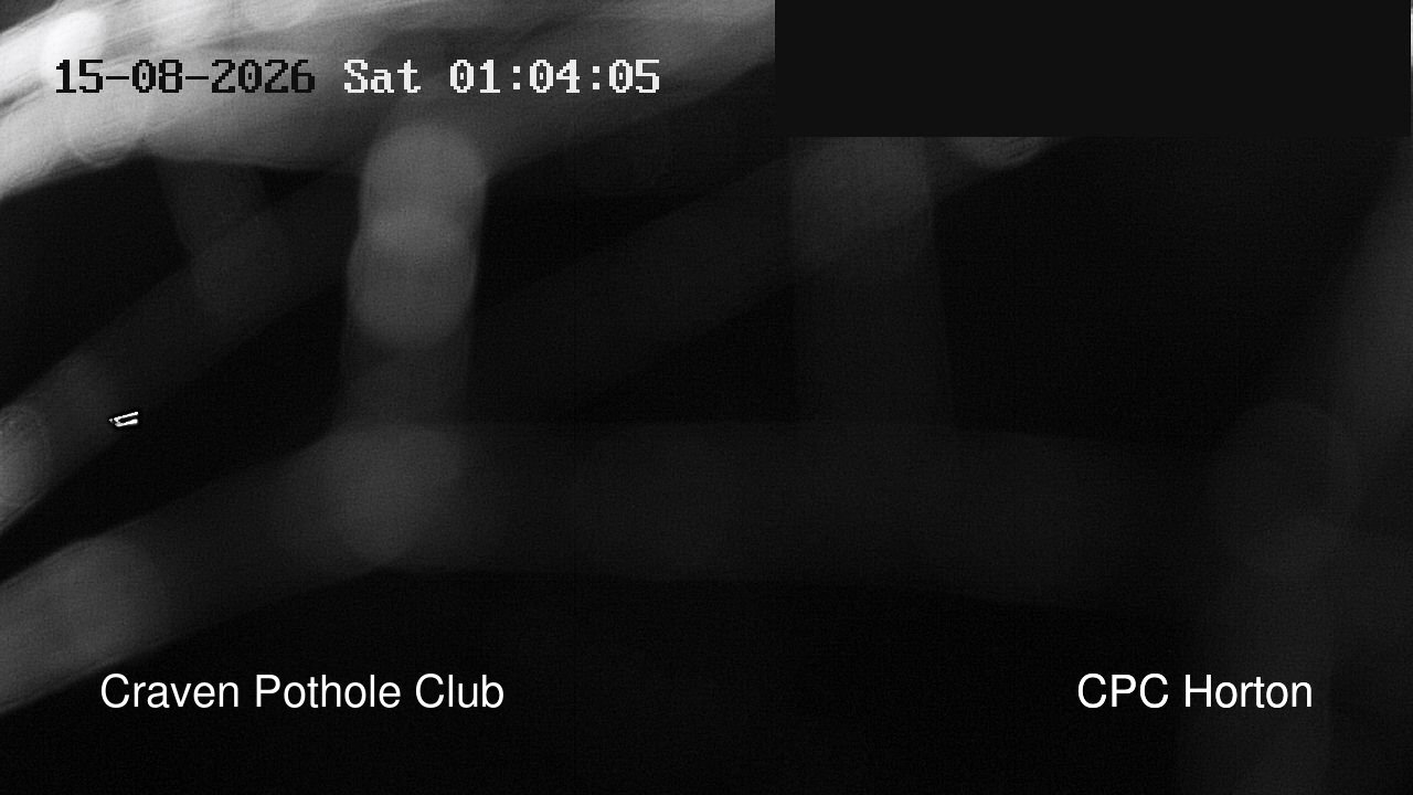 time-lapse frame, HortonBrantsGillCam webcam