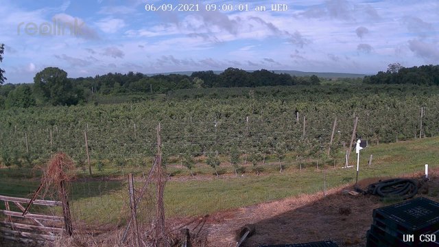 time-lapse frame, UM CSO webcam