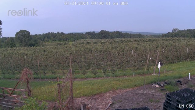 time-lapse frame, UM CSO webcam