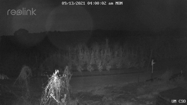 time-lapse frame, UM CSO webcam