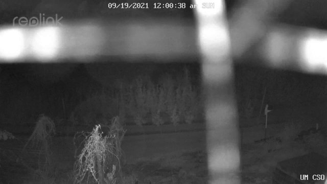 time-lapse frame, UM CSO webcam