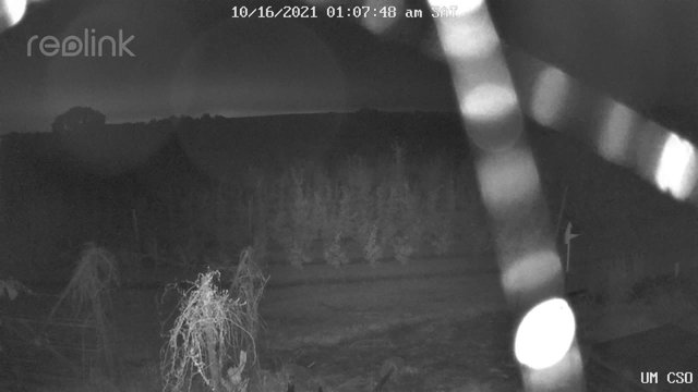 time-lapse frame, UM CSO webcam