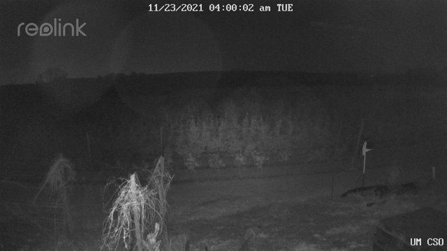 time-lapse frame, UM CSO webcam
