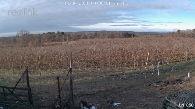 time-lapse frame, UM CSO webcam
