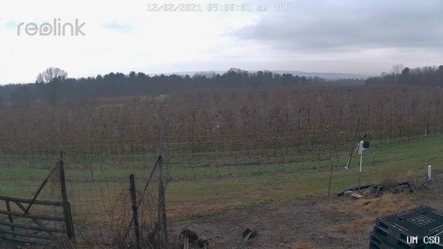 time-lapse frame, UM CSO webcam