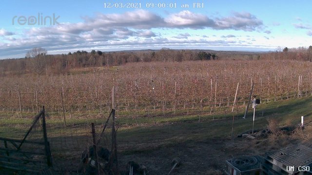 time-lapse frame, UM CSO webcam