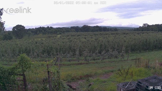 time-lapse frame, UM CSO webcam