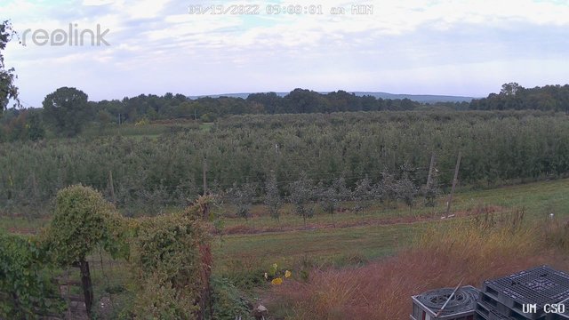 time-lapse frame, UM CSO webcam