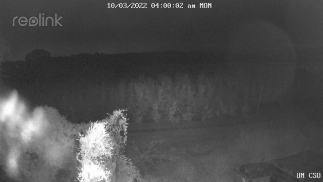 time-lapse frame, UM CSO webcam